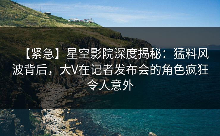 【紧急】星空影院深度揭秘:猛料风波背后,大V在记者发布会的角色疯狂令人意外
