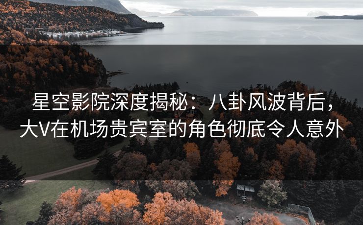 星空影院深度揭秘:八卦风波背后,大V在机场贵宾室的角色彻底令人意外